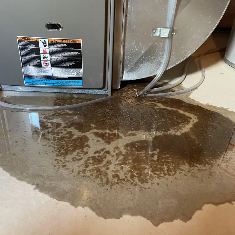 Appliance Leak Cleanup in Claremont, NC